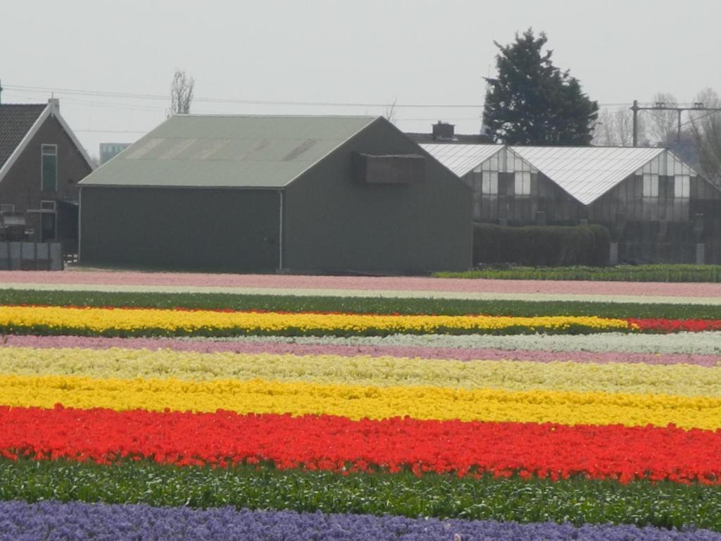 Pension Schier Zandvoort Luaran gambar